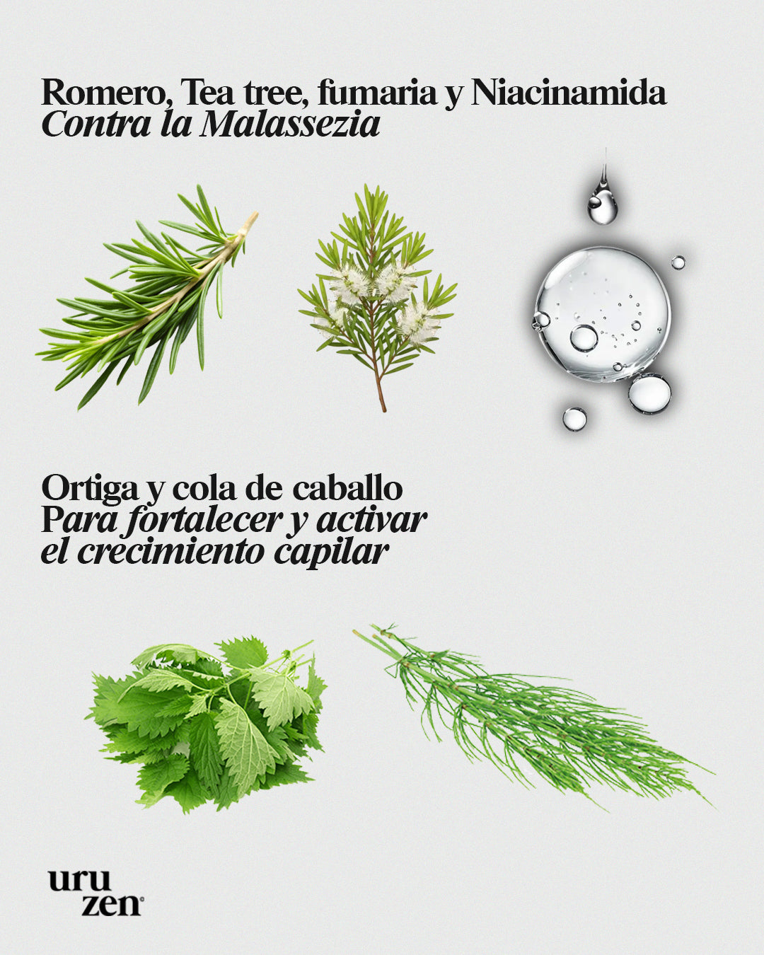 Elimina La Descamación y Picazón De Raíz